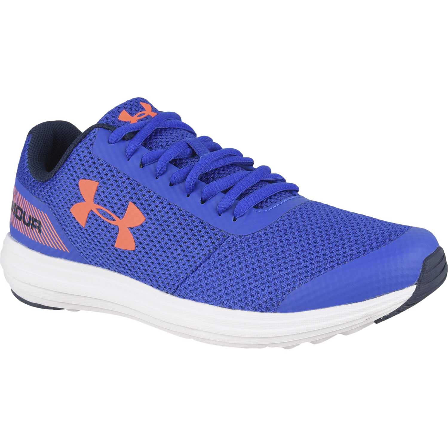 ua bgs surge rn