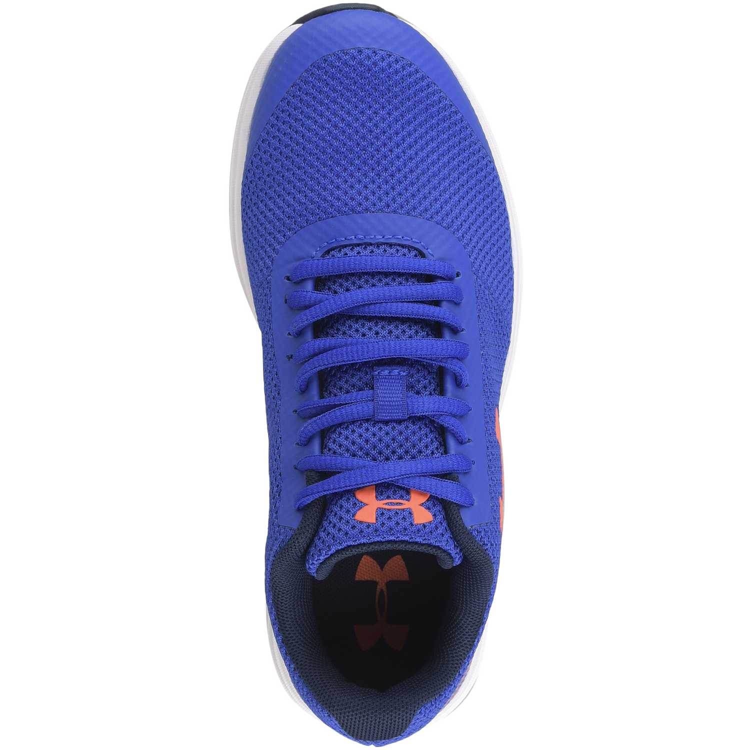ua bgs surge rn