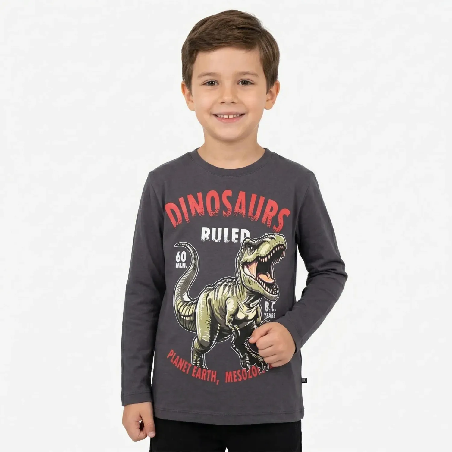 DINOSAURIOS Polo Dinosaurios Manga Larga Niño Dinosaurios Mco-0352-Al color plomo | Platanitos