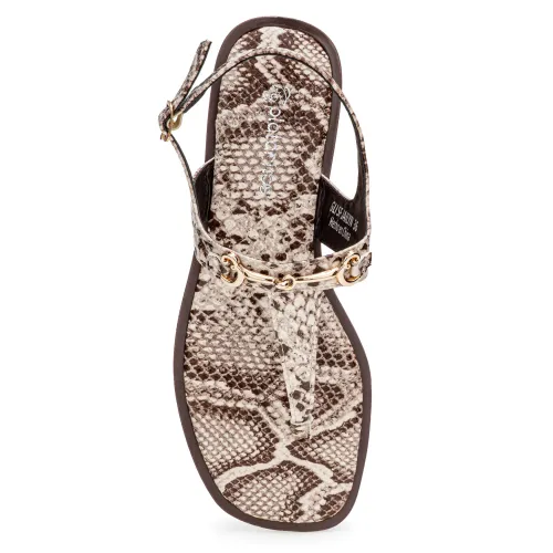 Platanitos Sandalia Dama Sf Jailyn