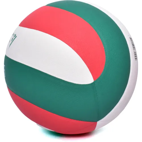 GOLTY Pelota De Voley Unisex Pro Golty Vgpro5