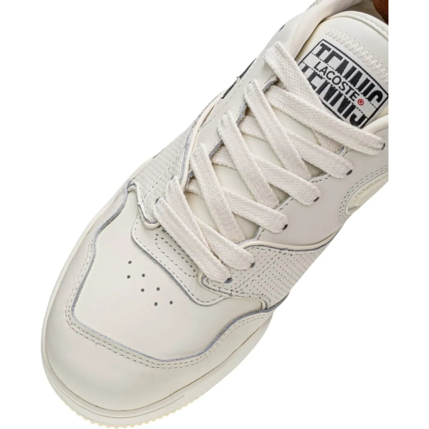 LACOSTE alt=