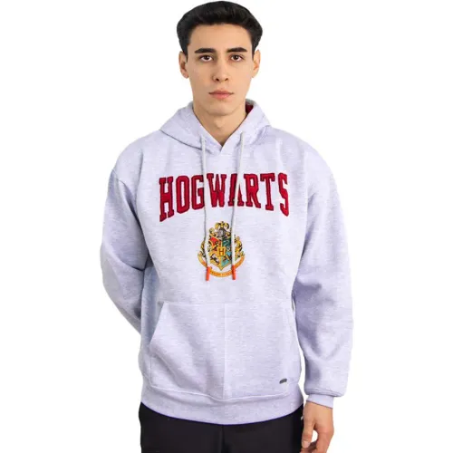 HARRY POTTER Plateado de Hombre modelo Polera Hombre Harry Potter Hpr-00 plomos hombre 2025082521561296027  