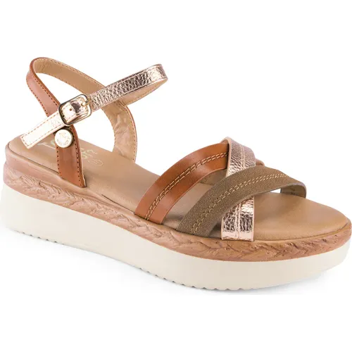 TIME CHOPPER Marron de Mujer modelo Sandalia Cuña Mujer Pl82092-2405 mujer 2025082703465484037 PU PU
