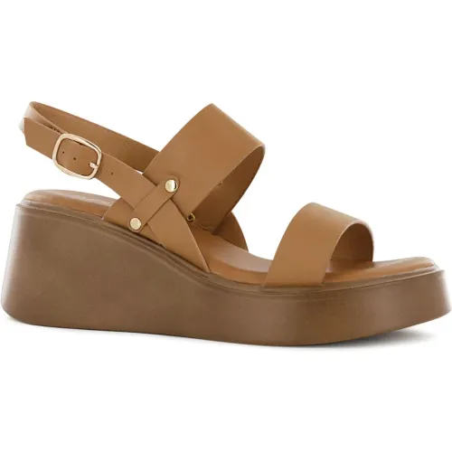 Color Camel