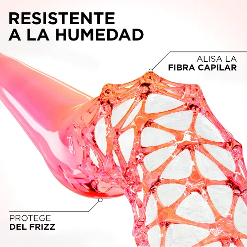 ELVIVE Tratamiento Elvive Dream Liso 300 G