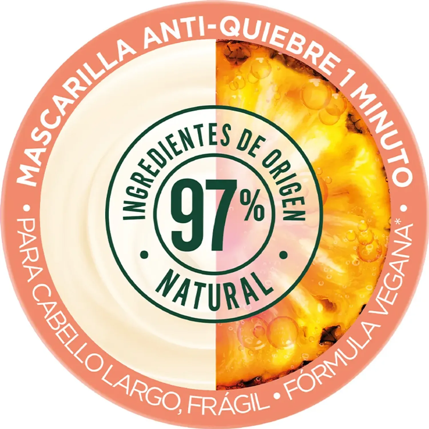 GARNIER FRUCTIS alt=