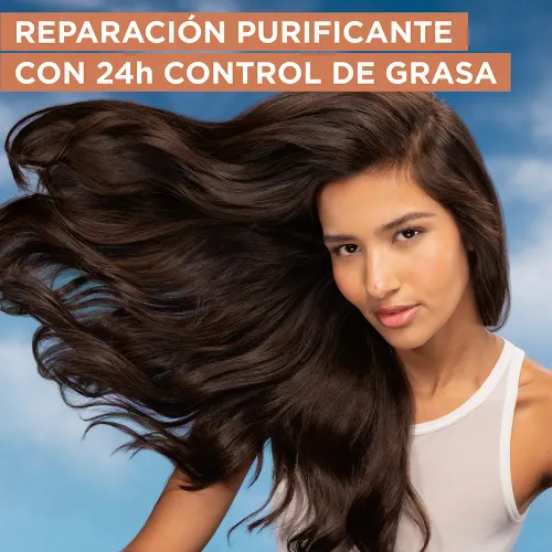 GARNIER FRUCTIS Shampoo Fructis Bdd Control Grasa 350 Ml