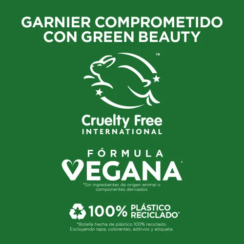 GARNIER FRUCTIS Shampoo Fructis Adios Esponjado 350 Ml