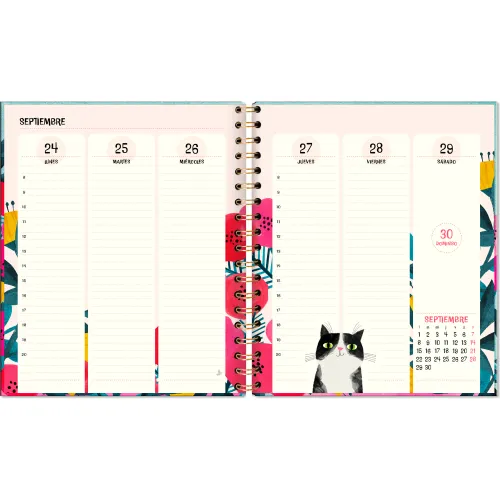 DGNOTTAS Agenda Semanal 2026 Cats Escritorio