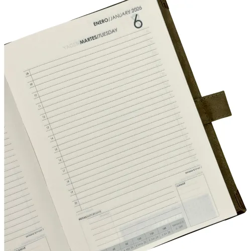 DGNOTTAS Agenda Diaria 2026 Status
