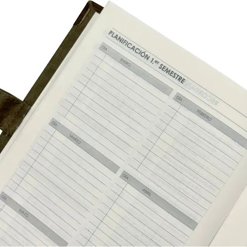 DGNOTTAS Agenda Diaria 2026 Status