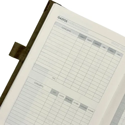 DGNOTTAS Agenda Diaria 2026 Status