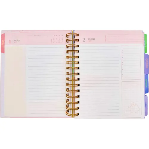 DGNOTTAS Agenda Diaria Financiera 2026 Pastel