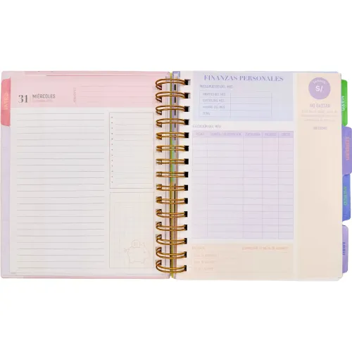 DGNOTTAS Agenda Diaria Financiera 2026 Pastel