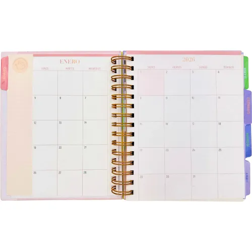 DGNOTTAS Agenda Diaria Financiera 2026 Pastel