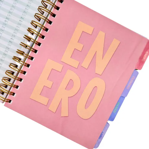 DGNOTTAS Agenda Diaria Financiera 2026 Pastel
