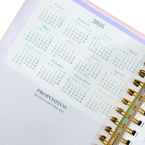 DGNOTTAS Agenda Diaria Financiera 2026 Pastel