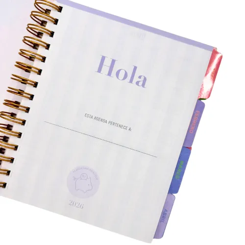 DGNOTTAS Agenda Diaria Financiera 2026 Pastel