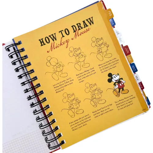DGNOTTAS Agenda Diaria 2026 Minnie