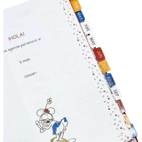 DGNOTTAS Agenda Diaria 2026 Minnie