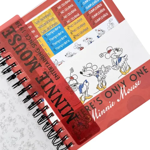 DGNOTTAS Agenda Diaria 2026 Minnie
