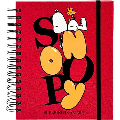 DGNOTTAS Varios modelo Agenda Diaria 2026 Snoopy varios 2025092923325901016  