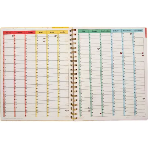 DGNOTTAS Brief Planner 2026 Winnie The Pooh
