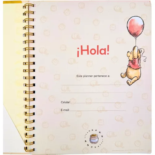 DGNOTTAS Brief Planner 2026 Winnie The Pooh