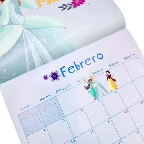 DGNOTTAS Calendario De Pared 2026 Princesas