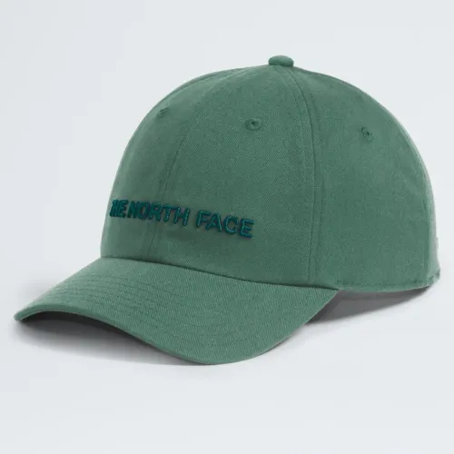 The North Face Verde de Hombre / Mujer modelo Gorra Urbana Unisex Roomy Norm Hat verdes hombre 2025093023031802184  
