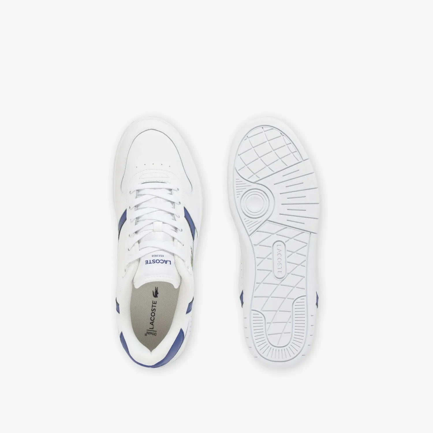LACOSTE alt=