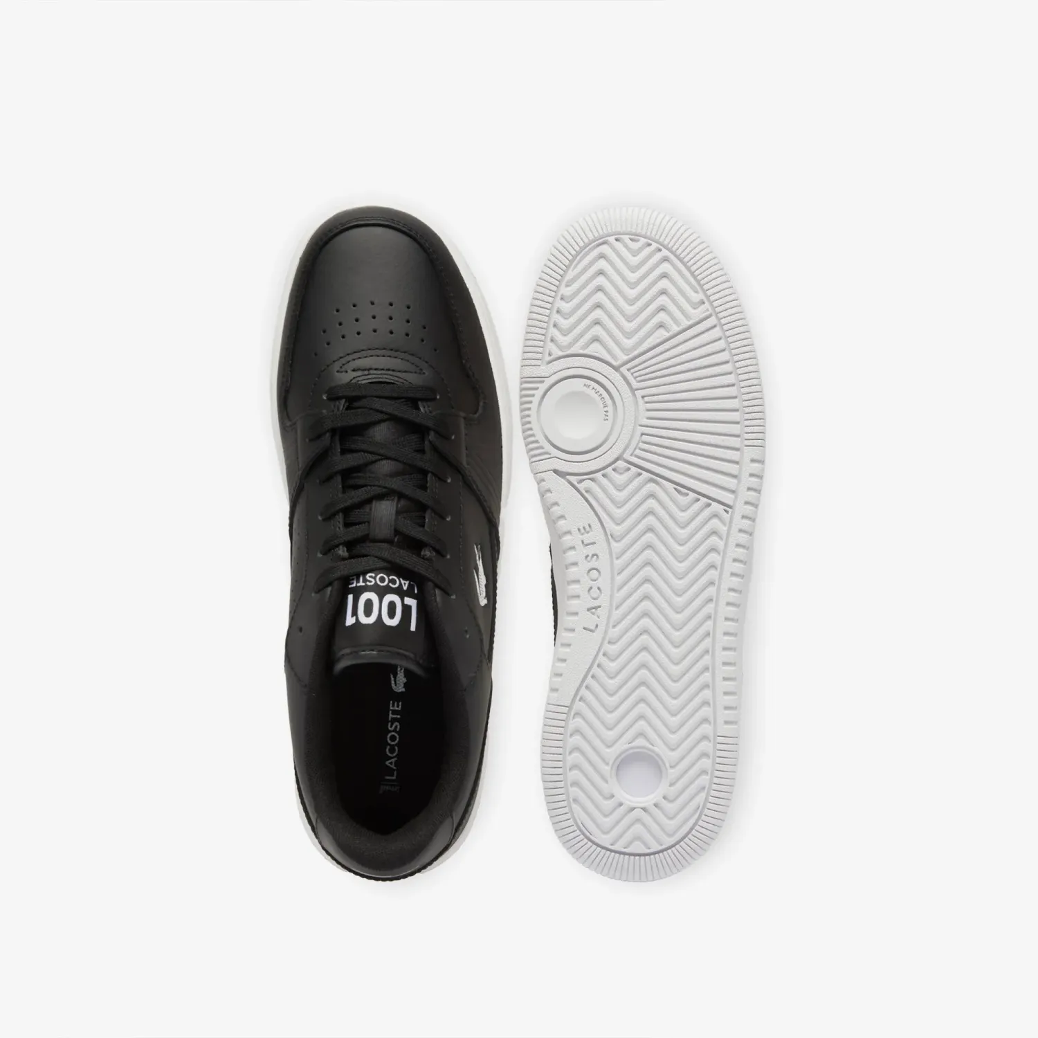 LACOSTE alt=