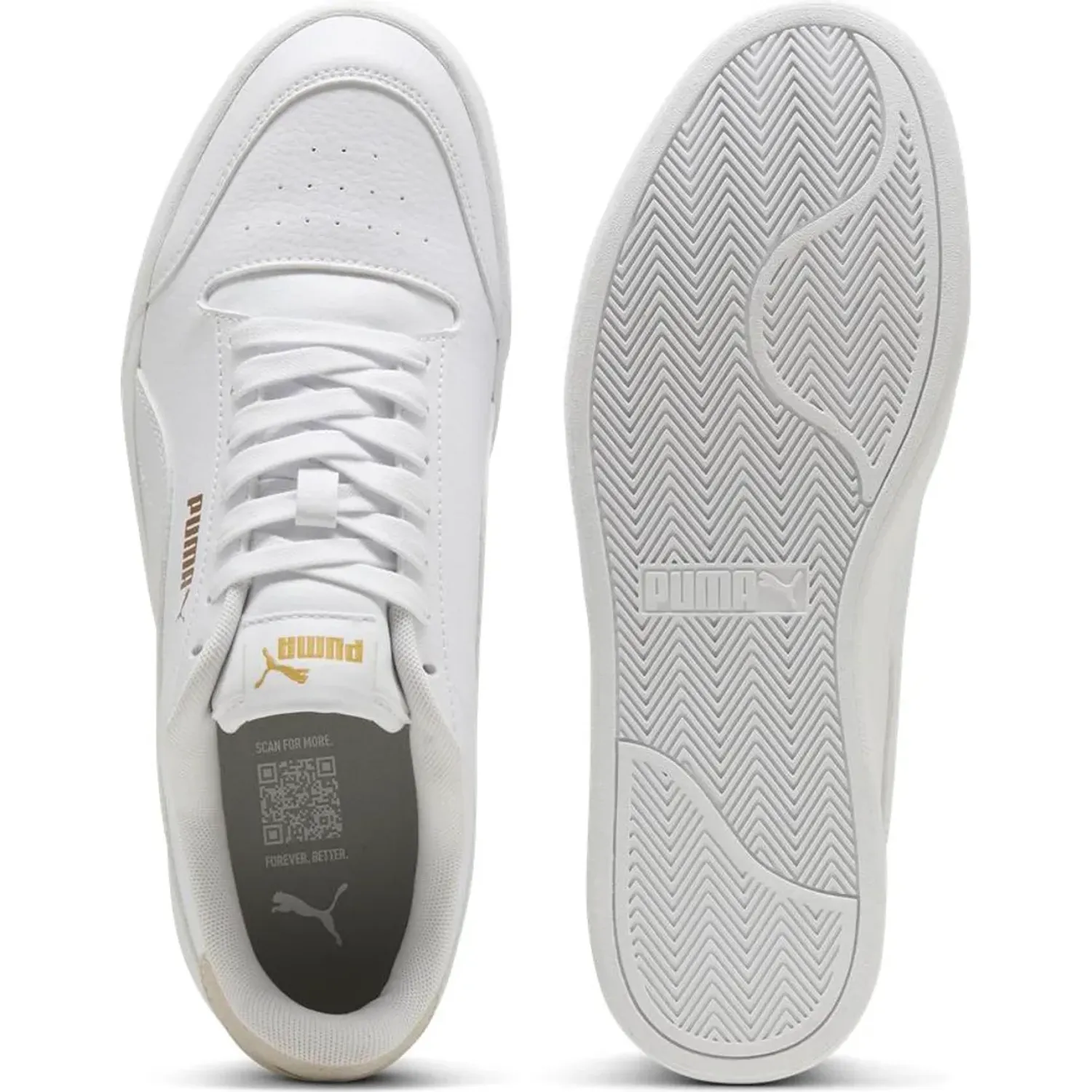Puma alt=