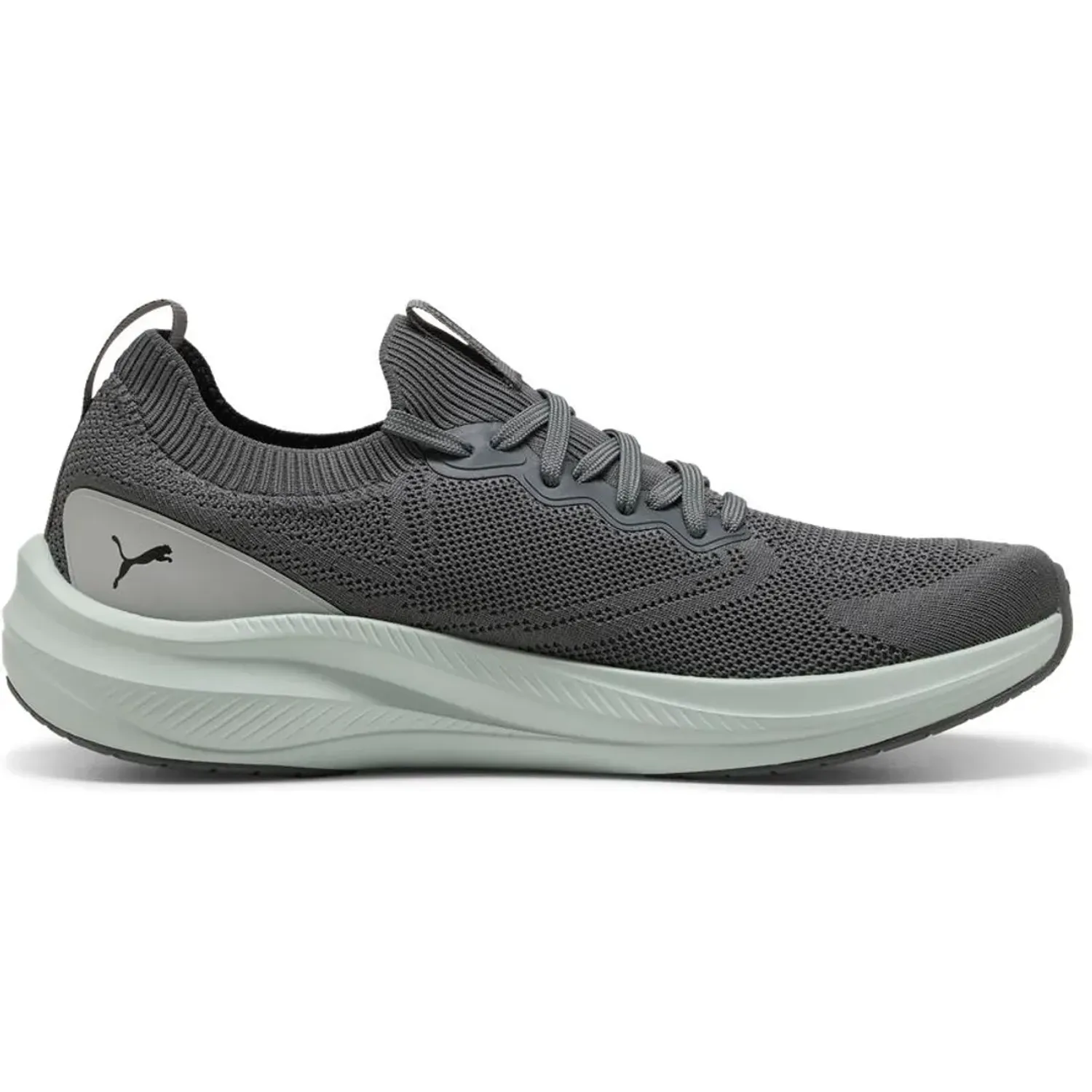 Puma alt=