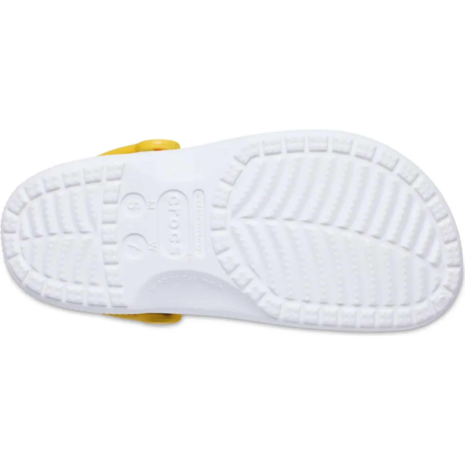 CROCS alt=