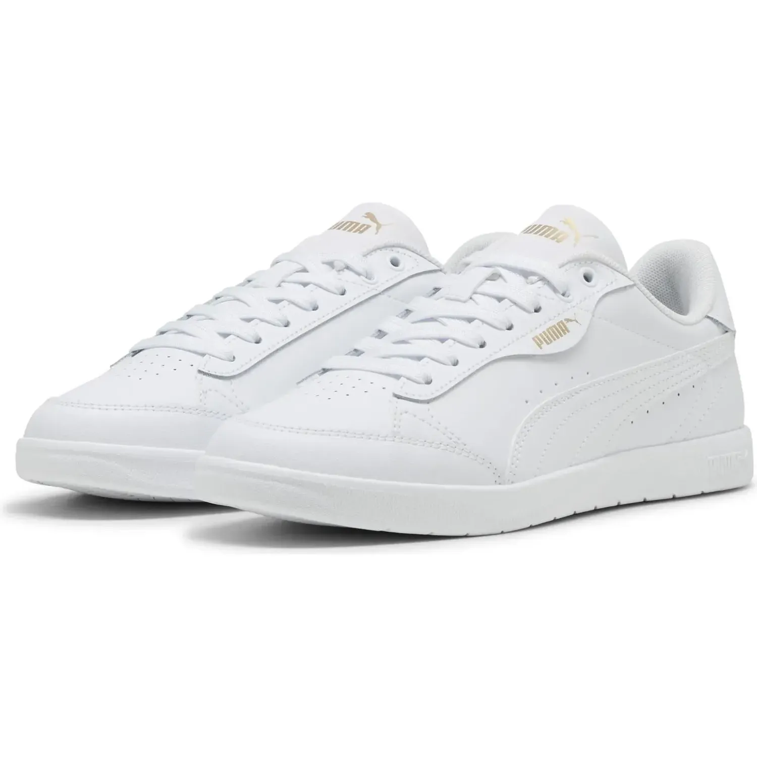 Puma alt=