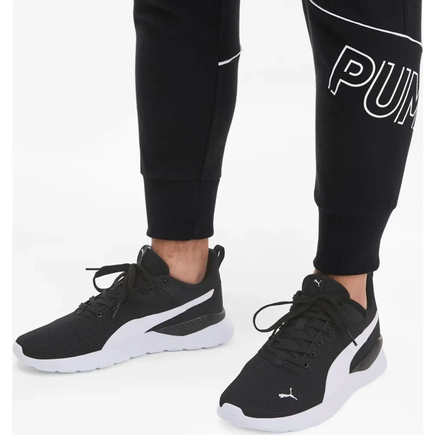 Puma alt=