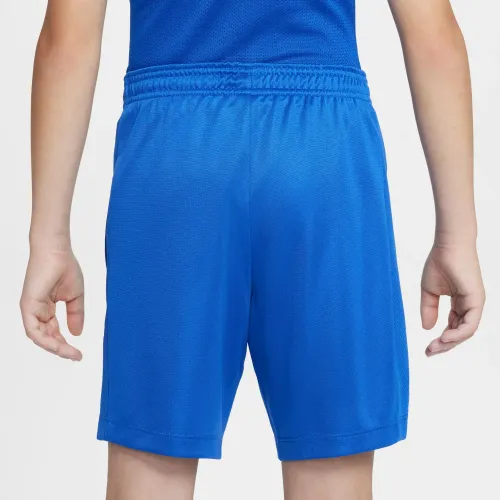 Nike Short Training Juvenil Dri-Fit Trophy23 Gx