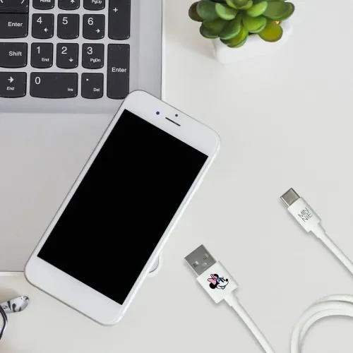 Minnie Cable Cargador Minnie Tipo C Drm10