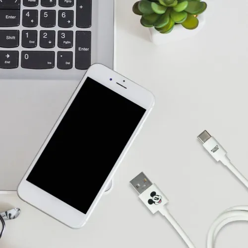 Mickey Cable Cargador Mickey Tipo C Drm10