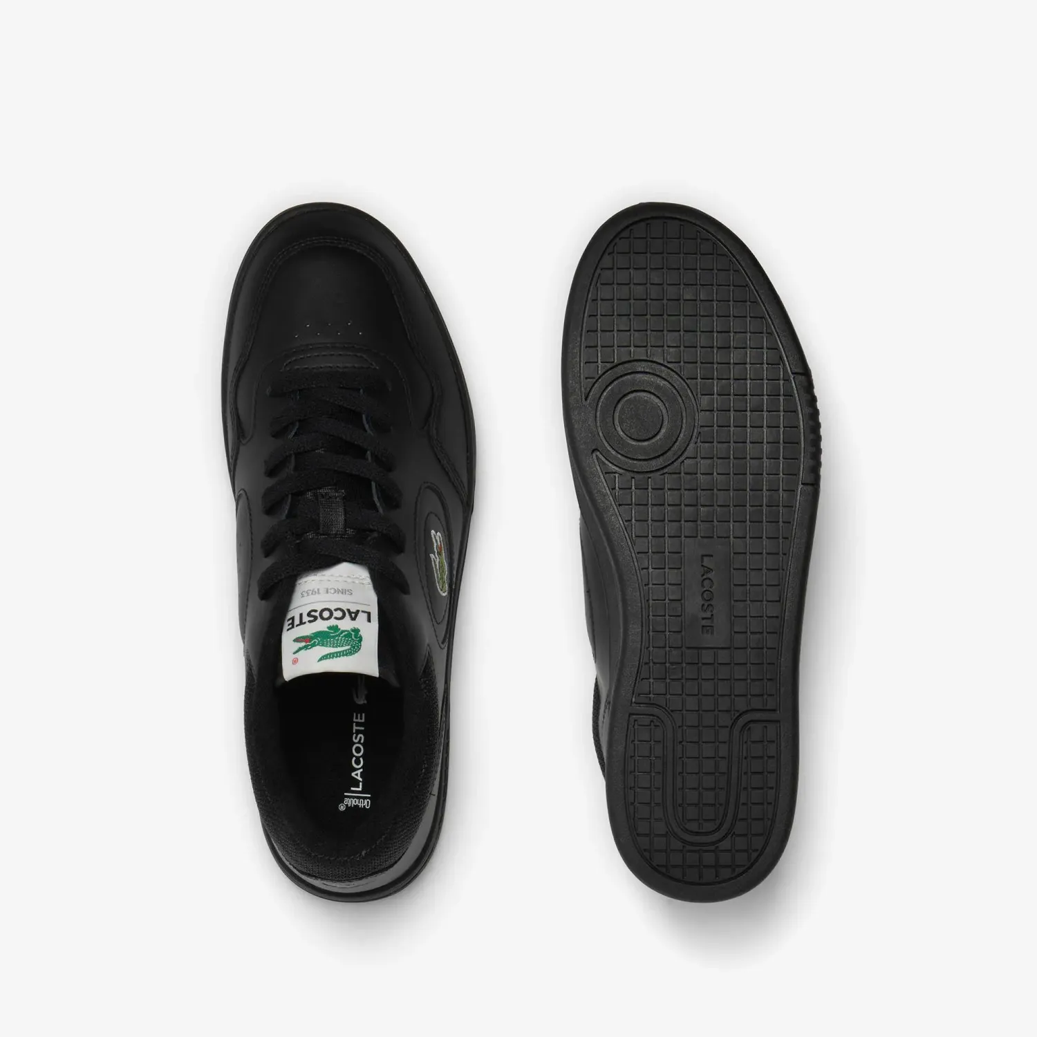 LACOSTE alt=