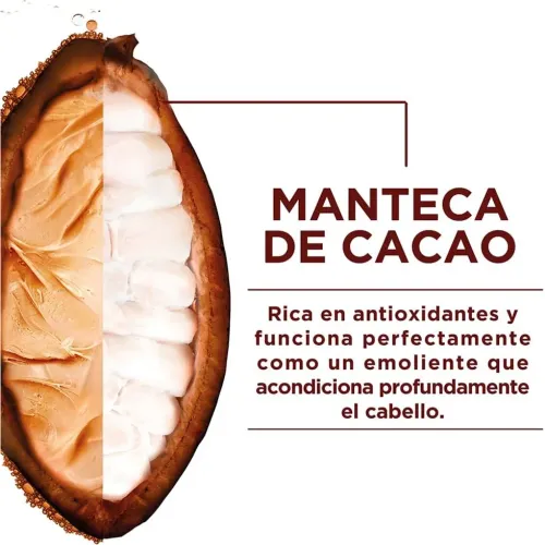 GARNIER FRUCTIS Mascarilla Hairfood Cacao 350ml