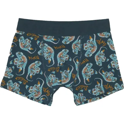 Kayser Tripack Boxer Niño Corto Algodon