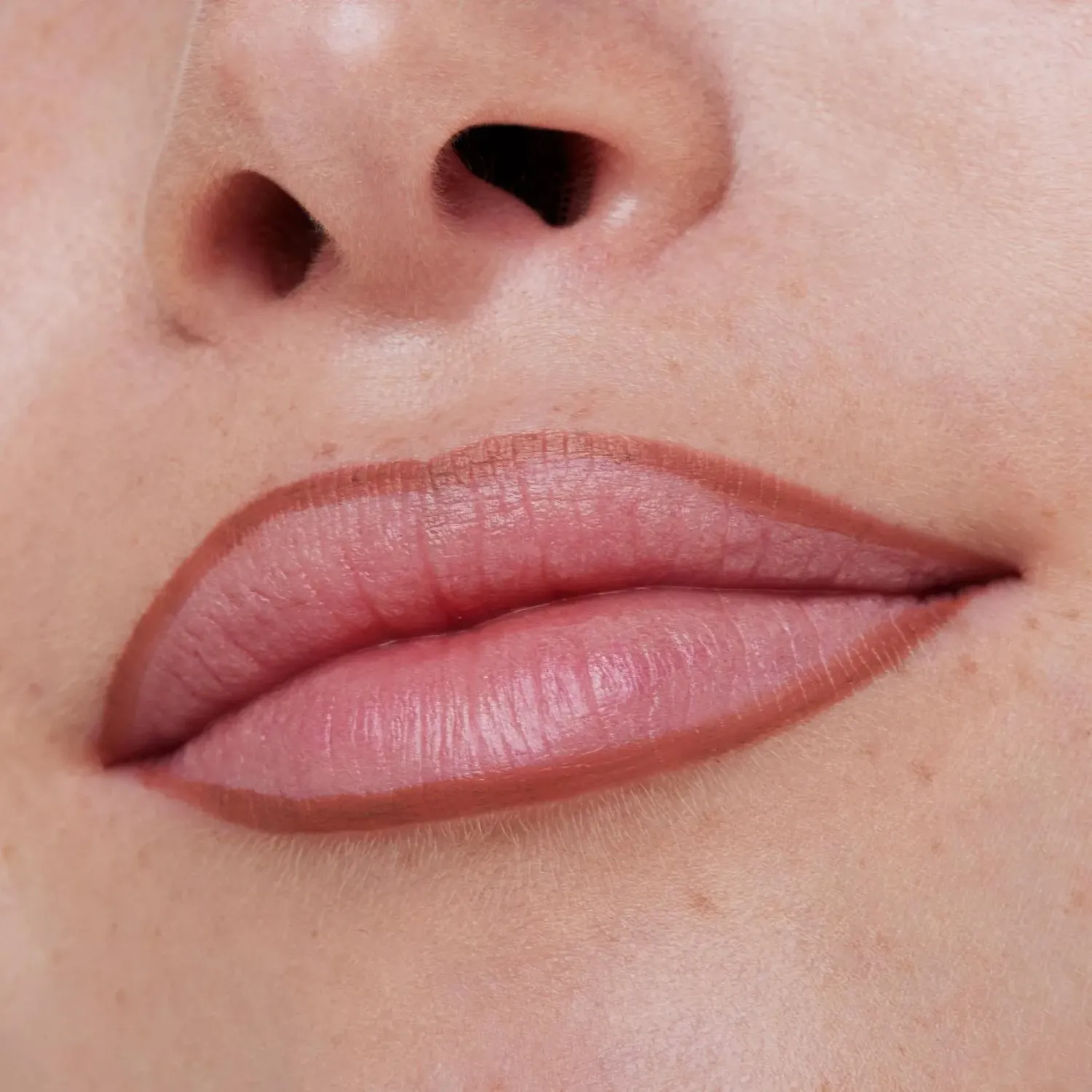 ESSENCE Delineador Essence De Labios 8h Matte Comfort Perfilador De Labios color cinnamon spice | Platanitos