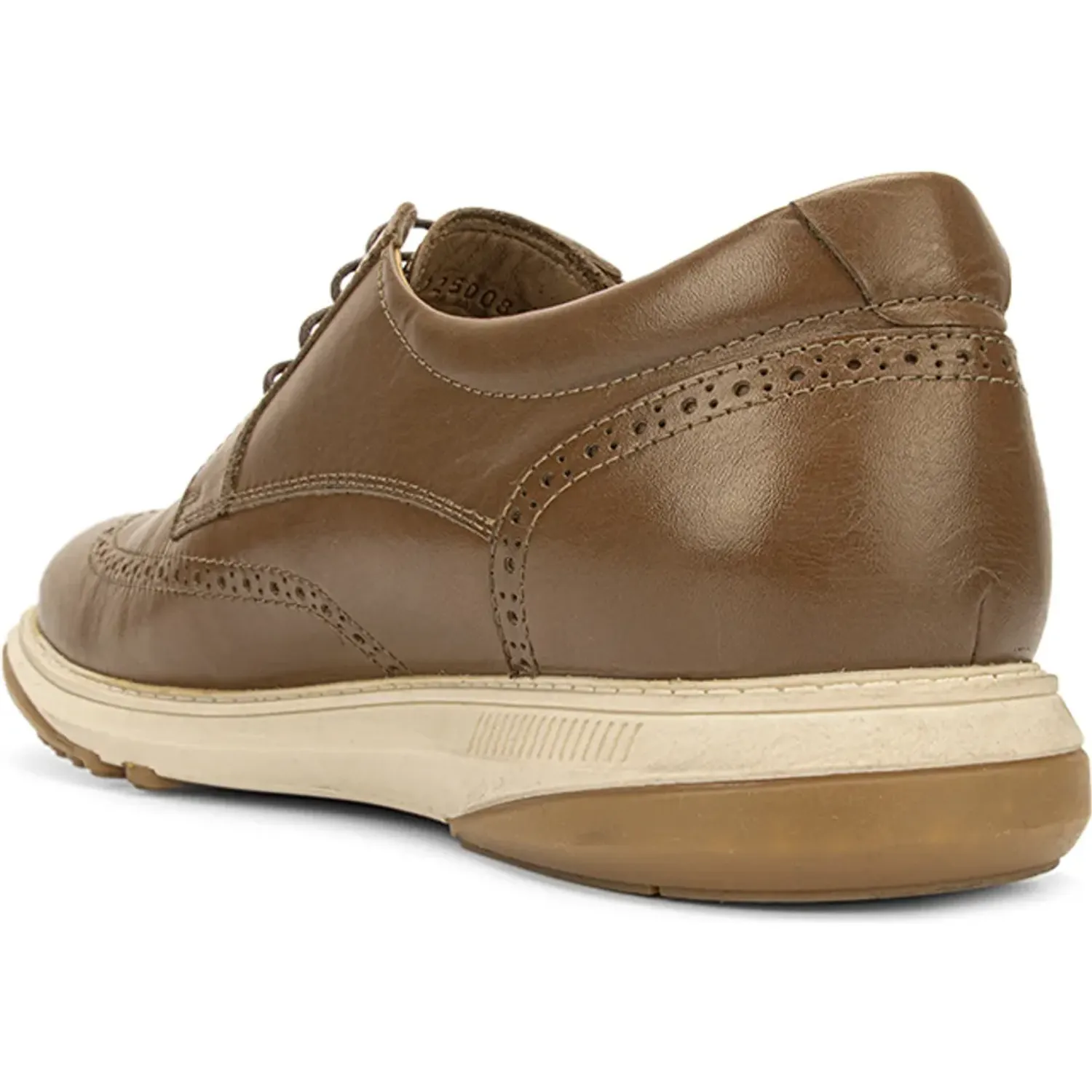 Calimod Zapato Calimod Casual Hombre 1cp600 color tan | Platanitos