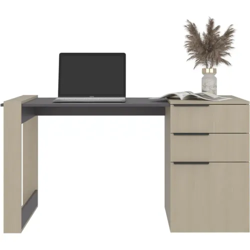 TUHOME Escritorio Recto 2 Cajones 1 Puerta Office 75,7x142x64,5 Cm