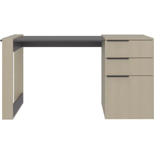 TUHOME Escritorio Recto 2 Cajones 1 Puerta Office 75,7x142x64,5 Cm