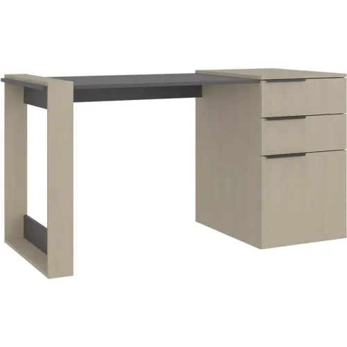 TUHOME Escritorio Recto 2 Cajones 1 Puerta Office 75,7x142x64,5 Cm