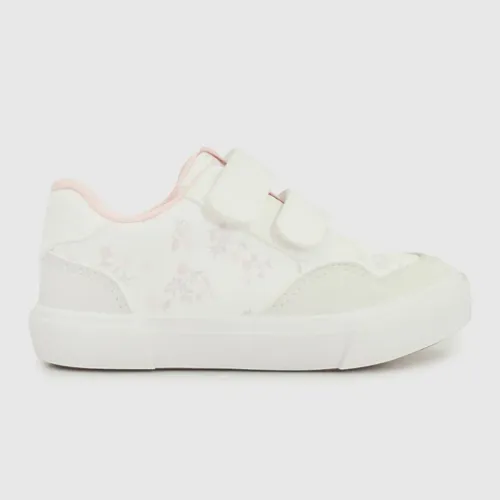 Colloky Zapatilla Niña Cg 47220210i26